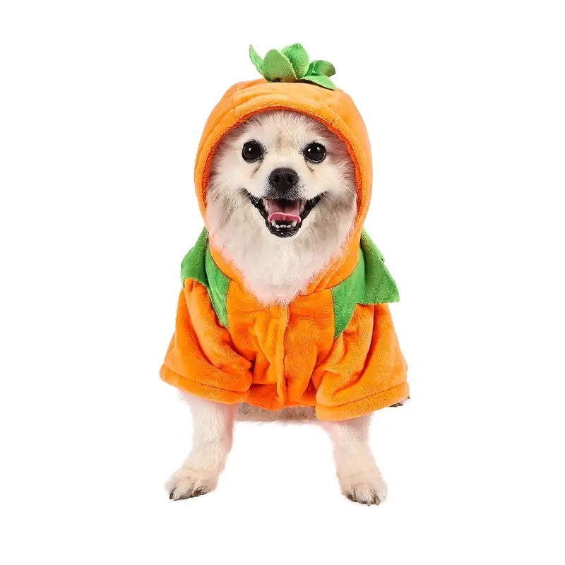 Adorable Halloween Pumpkin Costume for Dogs Pets Possessions