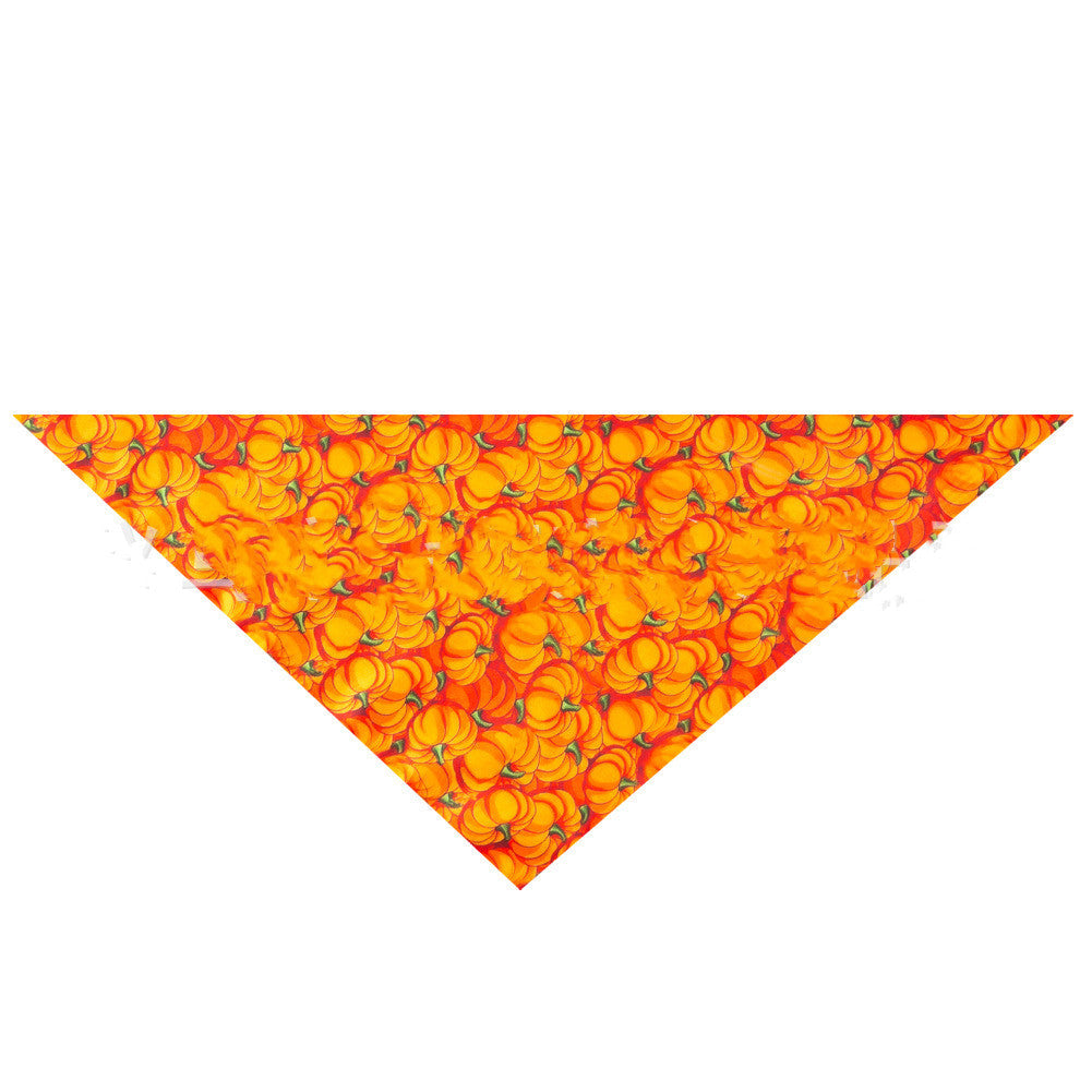 Autumn Harvest Thanksgiving Pet Scarves for Cats & Dogs Pets Possessions LLC