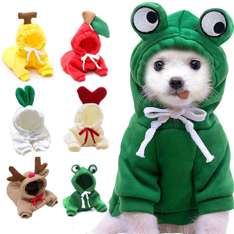 Cute Holiday and Year Round Costumes for Cats & Dogs Pets Possessions