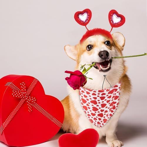 Valentine's Day Heart Headband Accessory for Cats & Dogs Pets Possessions LLC