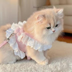 Beautiful Flower Harness + Leash Set for Cats & Dogs Pets Possessions