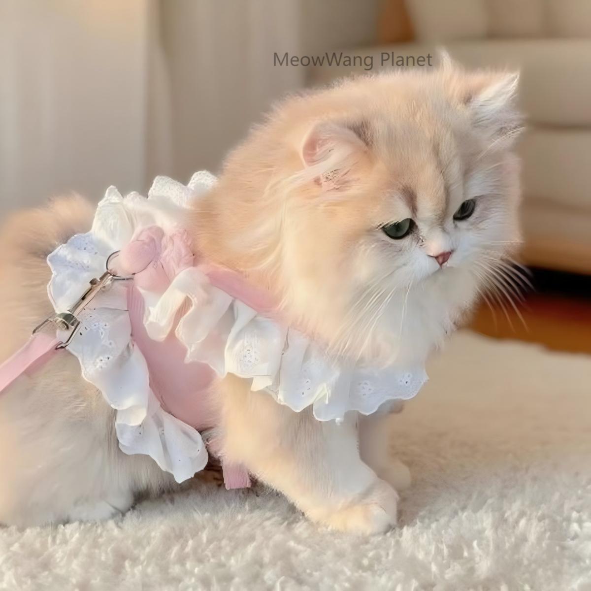 Beautiful Flower Harness + Leash Set for Cats & Dogs Pets Possessions