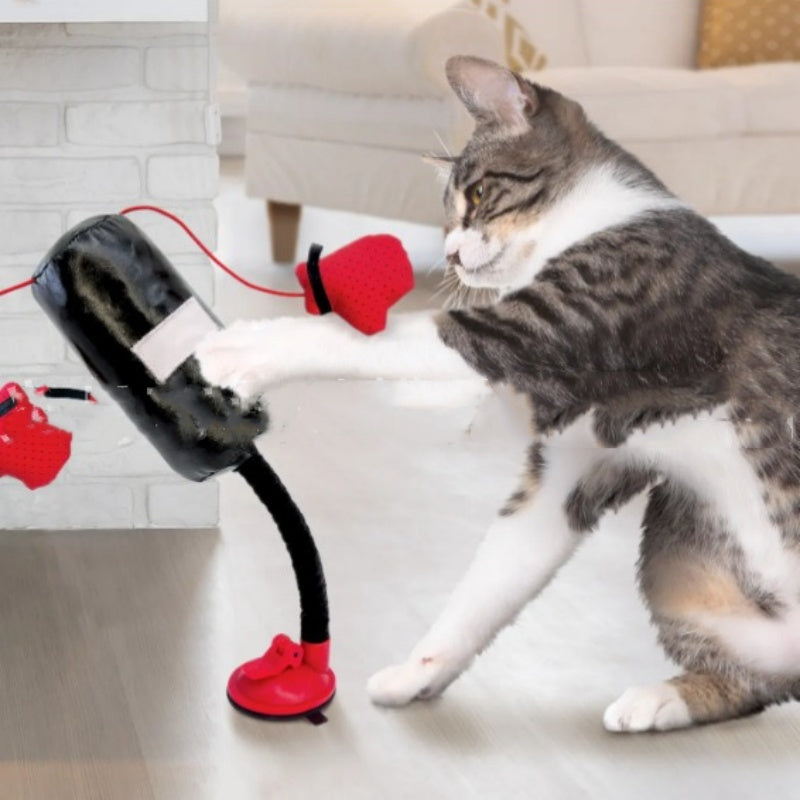 Boxing Smart Interactive Cat Teaser Toy Pets Possessions LLC