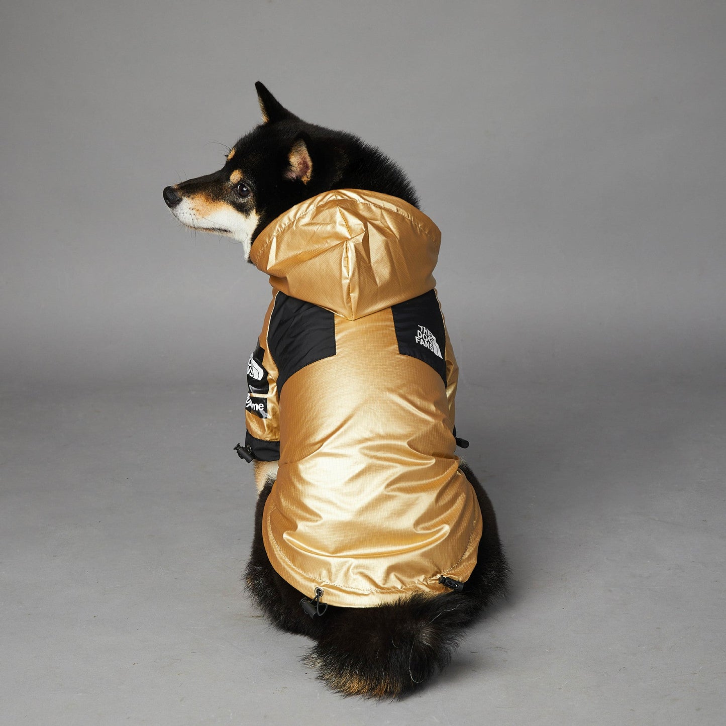 Stylish Windproof Raincoat for Dogs Pets Possessions LLC