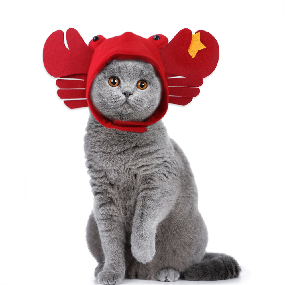 Funny Headpieces for Cats & Small Dogs Pets Possessions LLC