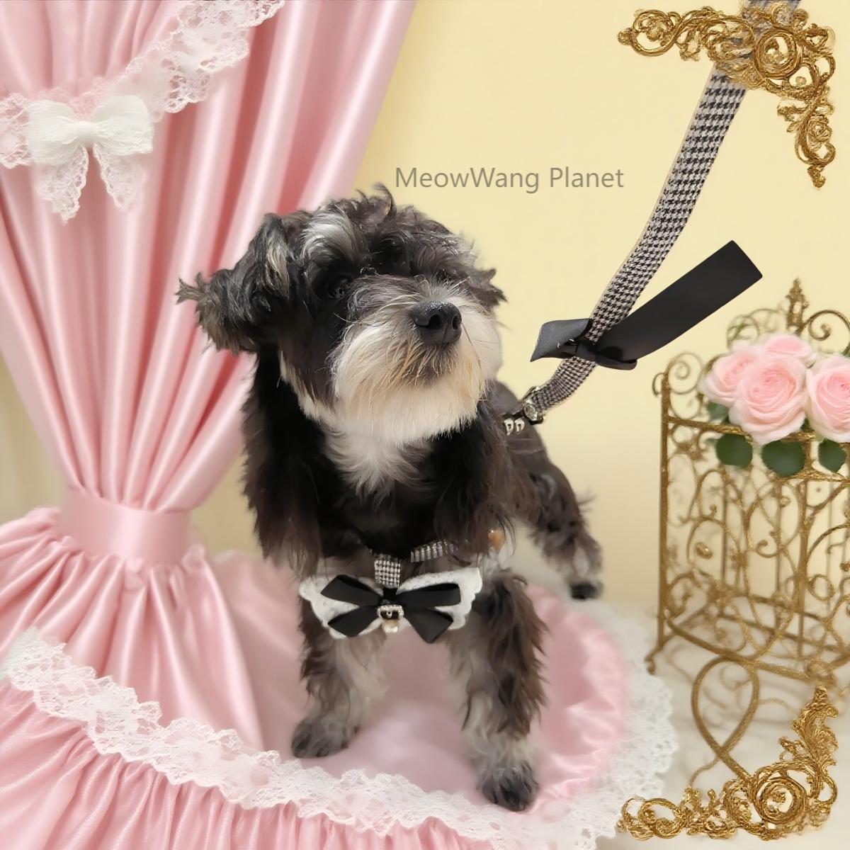 Luxury Lace Harness + Leash Set for Cats & Small Dogs Pets Possessions