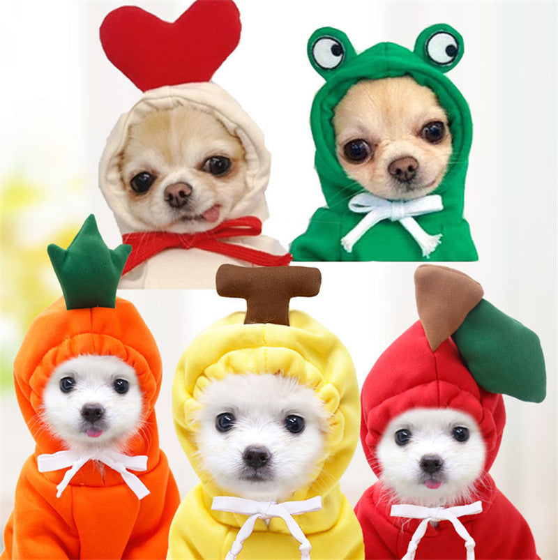 Cute Holiday and Year Round Costumes for Cats & Dogs Pets Possessions