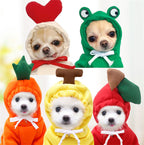 Cute Holiday and Year Round Costumes for Cats & Dogs Pets Possessions