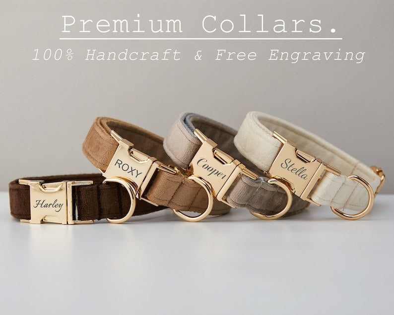 Multiple Color Velvet Customizable Dog Collar +Leash Set with Bow Pets Possessions