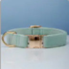 Multiple Color Velvet Customizable Dog Collar +Leash Set with Bow Pets Possessions