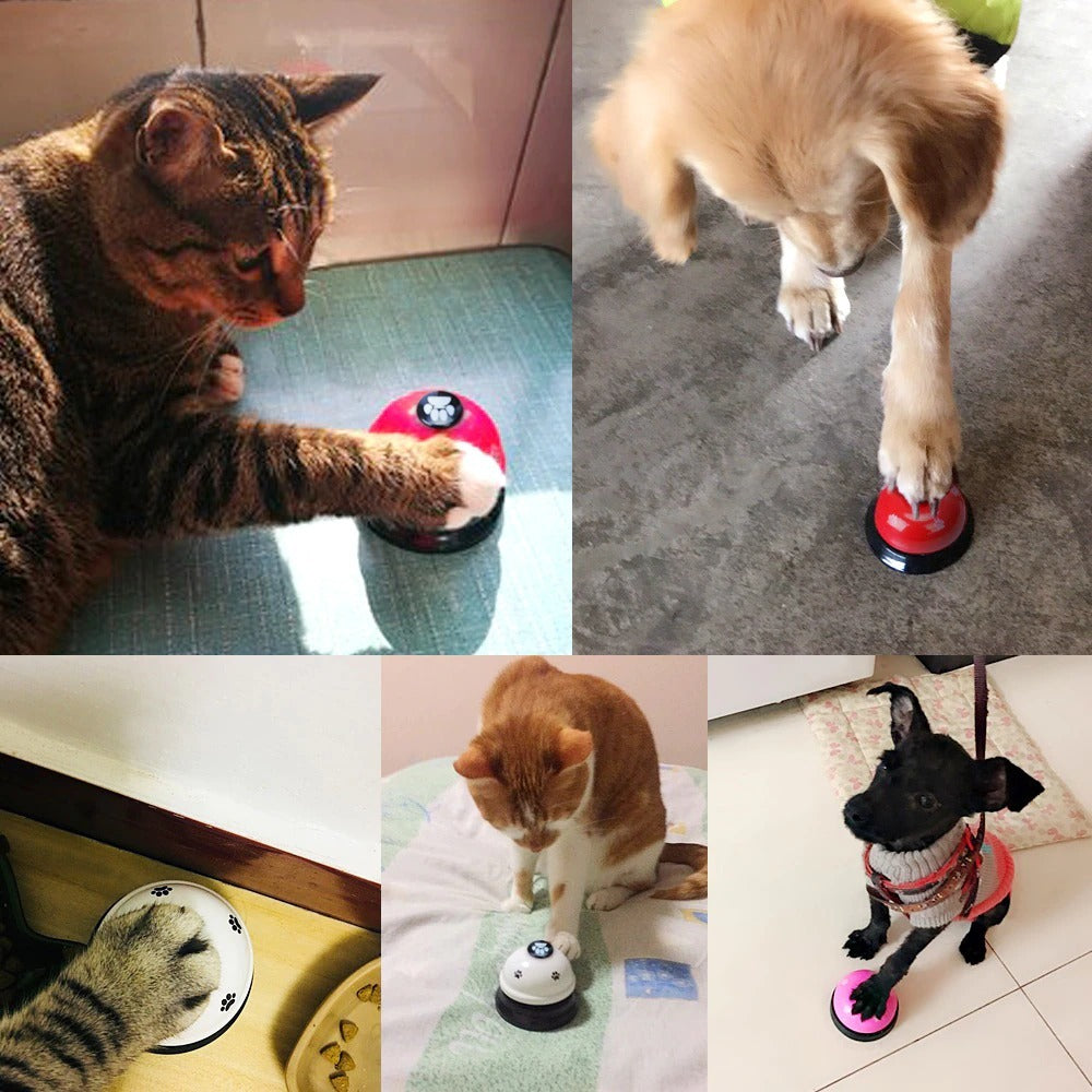 Non-Skid Rubber Base Training Toy for Cats & Dogs Pets Possessions