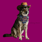 Adorable Mini Premium Quality Costume Hat & Scarf Set for Cats & Dogs Pets Possessions