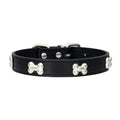Rad PU Leather Collars for Dogs & Cats Pets Possessions LLC