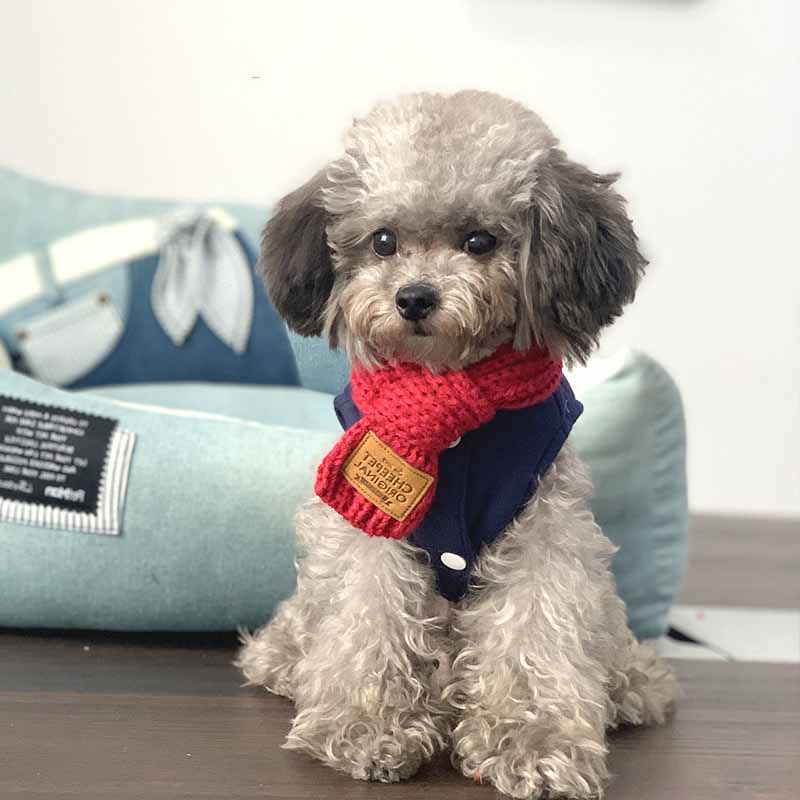 Deluxe Cozy Scarves for Cats & Dogs Pets Possessions LLC