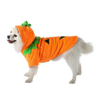 Adorable Halloween Pumpkin Costume for Dogs Pets Possessions