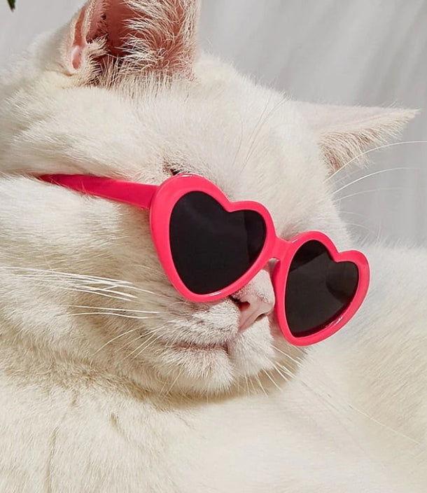 Valentines Heart Sunglasses for Cats & Dogs Pets Possessions LLC