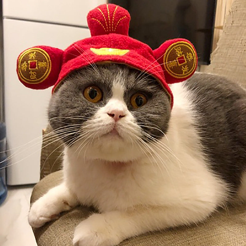 Funny Headpieces for Cats & Small Dogs Pets Possessions LLC