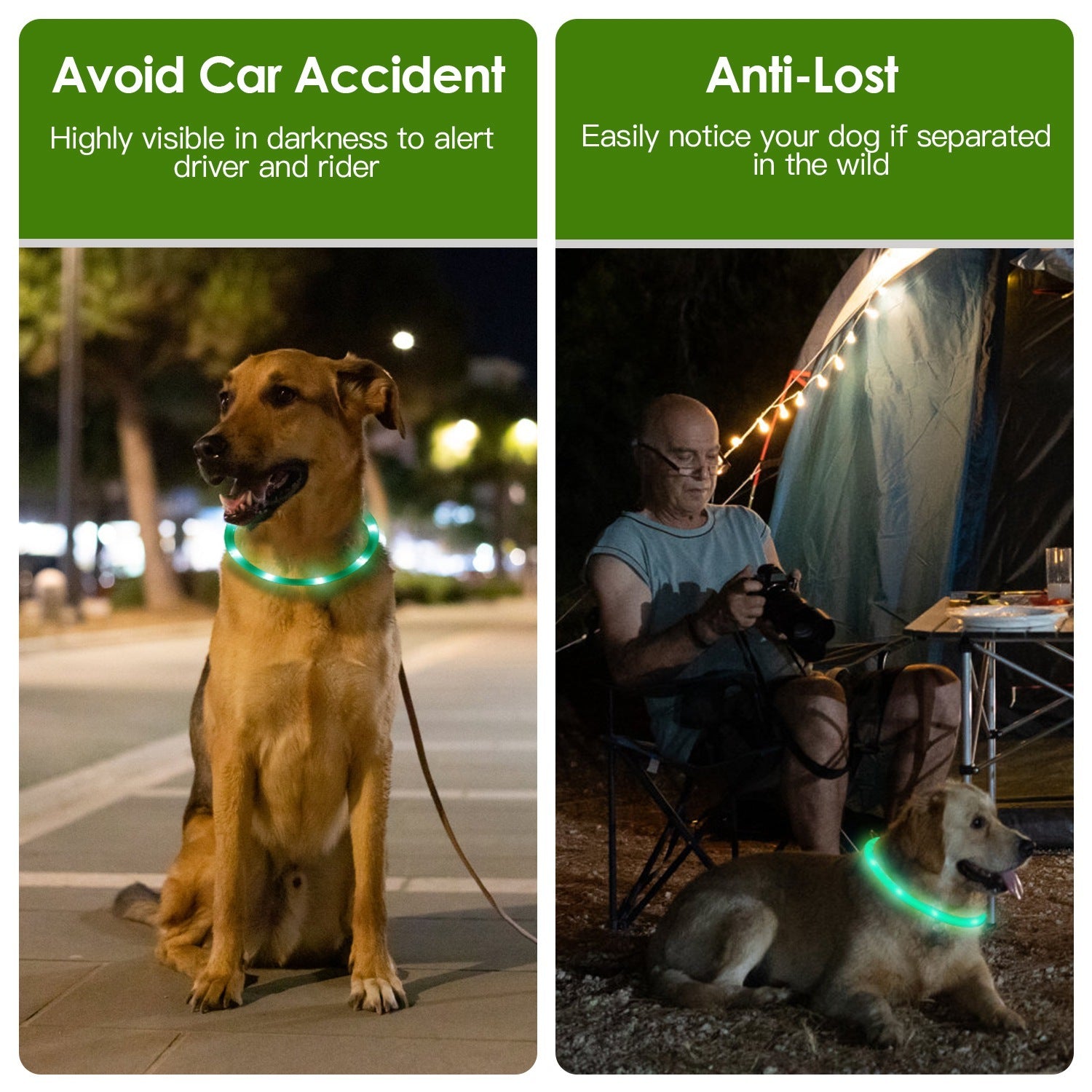 USB Rechargeable LED with Multi Color Lighting for Cats & Dogs Pets Possessions