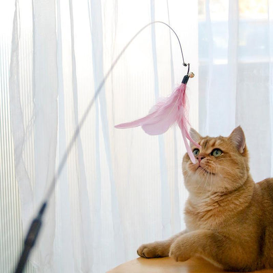 Retractable Cat Teaser Stick & Laser Pen