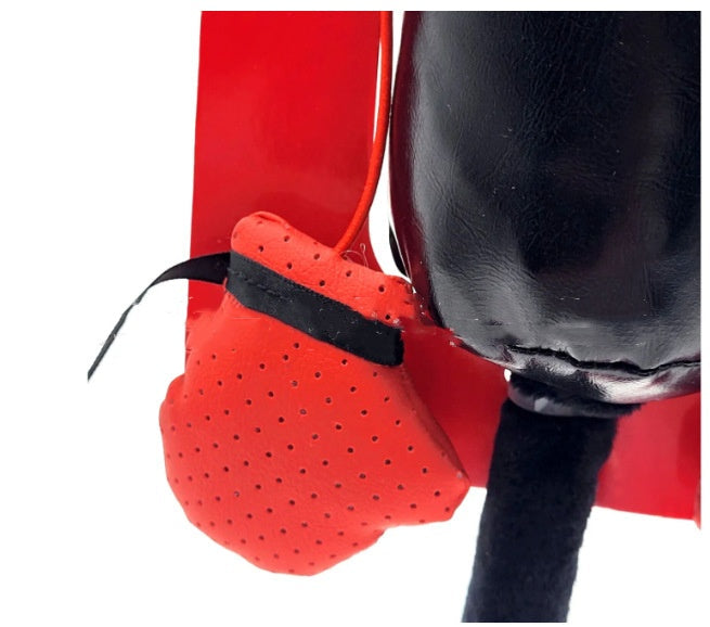 Boxing Smart Interactive Cat Teaser Toy Pets Possessions LLC