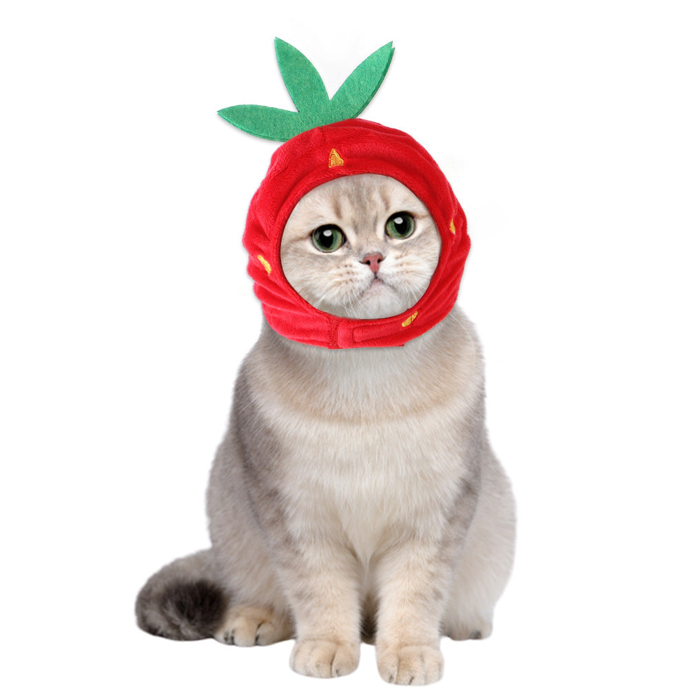 Funny Headpieces for Cats & Small Dogs Pets Possessions LLC