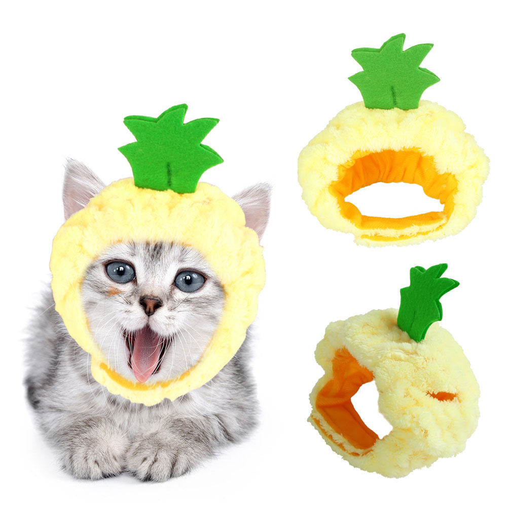 Funny Headpieces for Cats & Small Dogs Pets Possessions LLC
