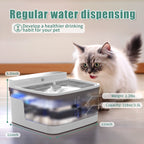 Translucent Water Dispenser with Bright UV Light for Cats & Dogs Pets Possessions