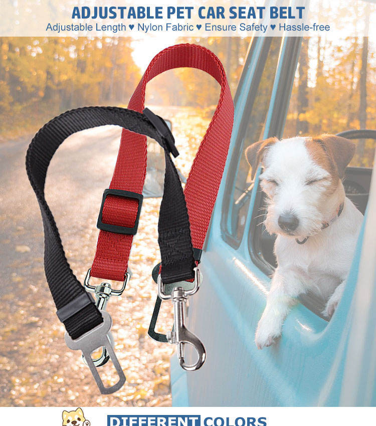Durable Vehicle Seatbelt Leash for Cats and Dogs Pets Possessions