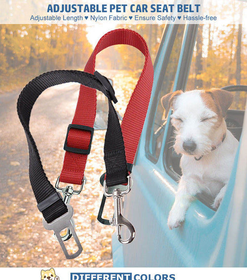 Durable Vehicle Seatbelt Leash for Cats and Dogs Pets Possessions