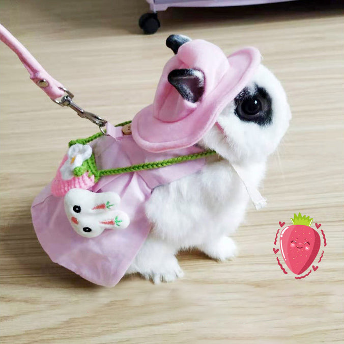 Adorable Outfits with Leash Traction Connector for Small Cats and Dogs Pets Possessions LLC