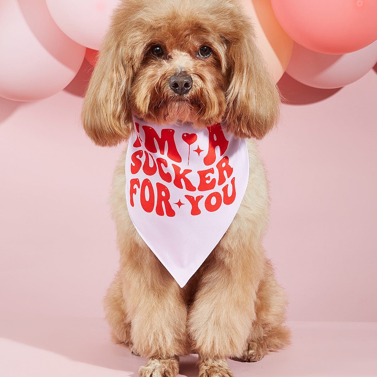 Trendy Valentines Day Scarves for Cats & Dogs Pets Possessions LLC