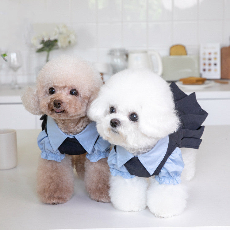 Fashionable Prep School Girl Outfit for Dogs Pets Possessions LLC