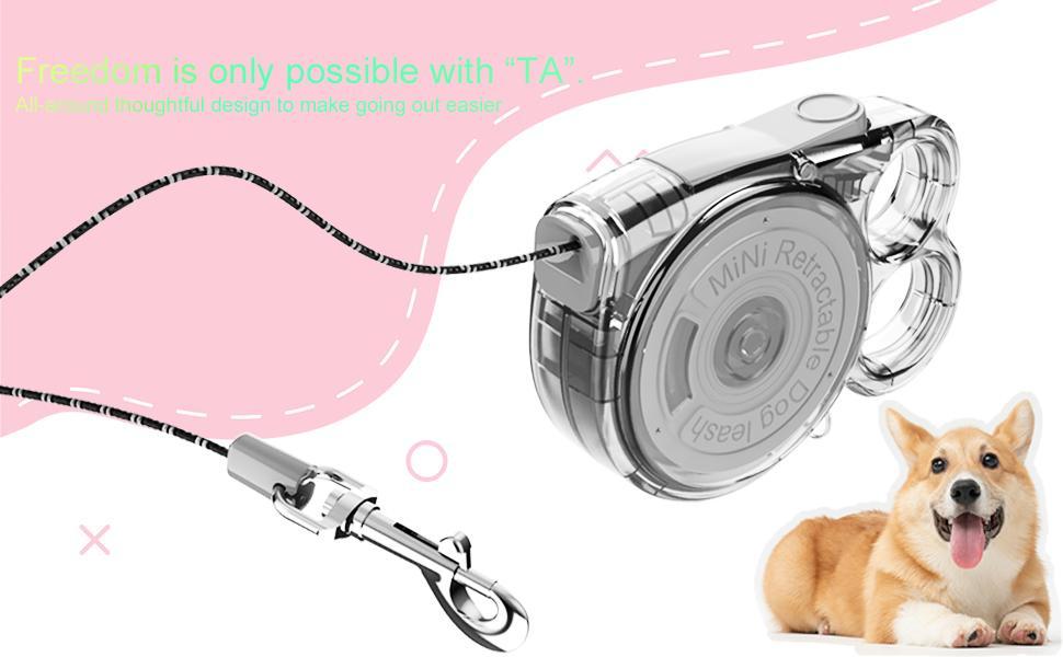 Mini Retractable Leash - for Cats & Small Dogs Pets Possessions