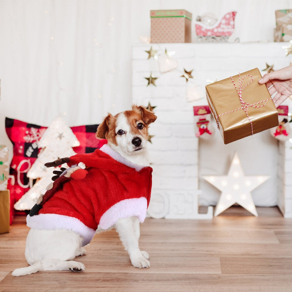 Christmas Themed Santa Claus Reindeer Antlers Costume for Dogs & Cats Pets Possessions
