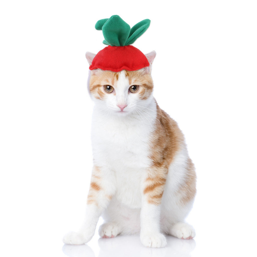 Funny Headpieces for Cats & Small Dogs Pets Possessions LLC