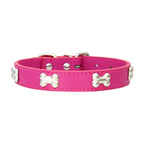 Rad PU Leather Collars for Dogs & Cats Pets Possessions LLC