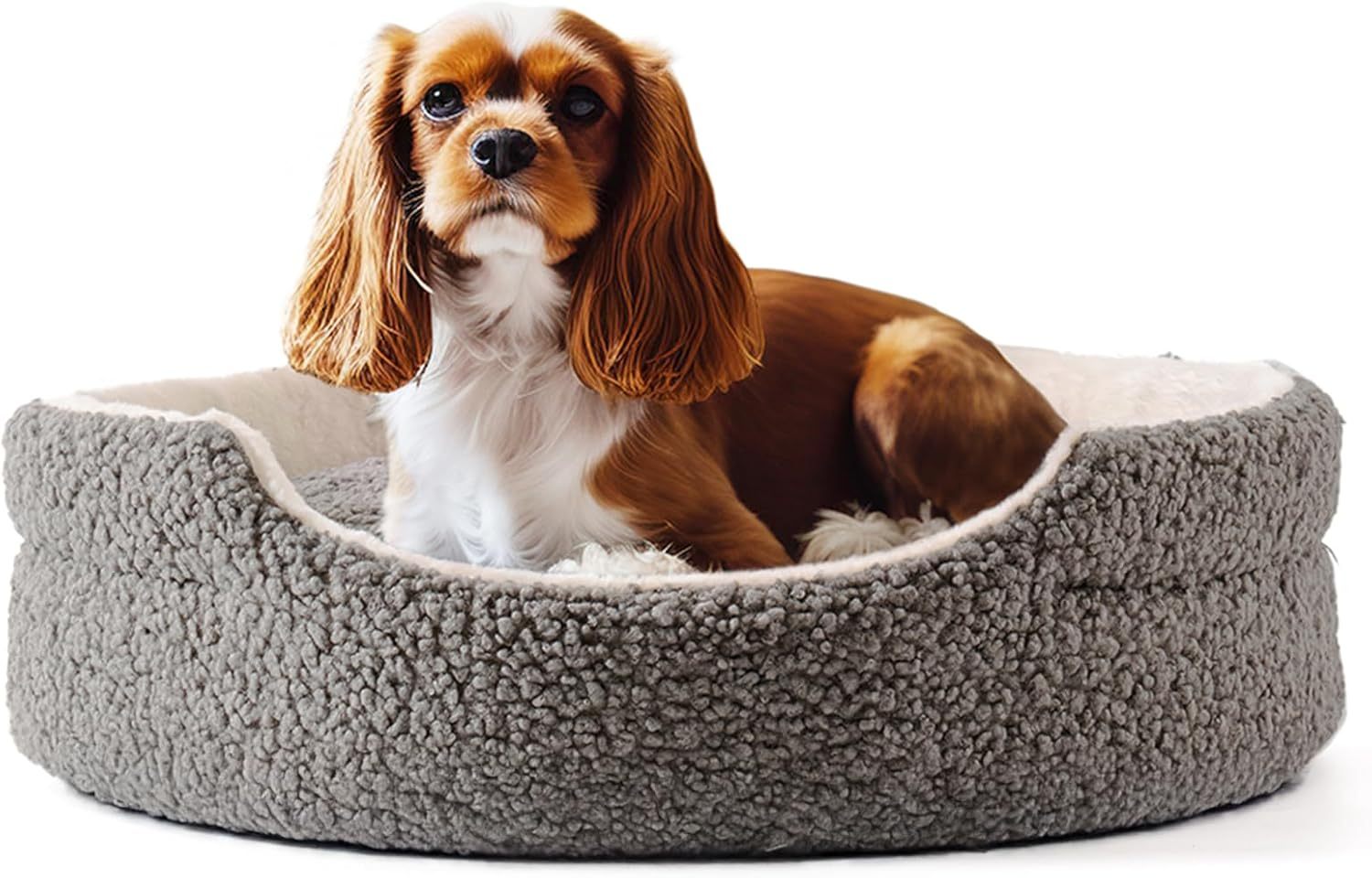 Mewoo Washable Orthopedic Pet Bed for Cats & Small Dogs Pets Possessions