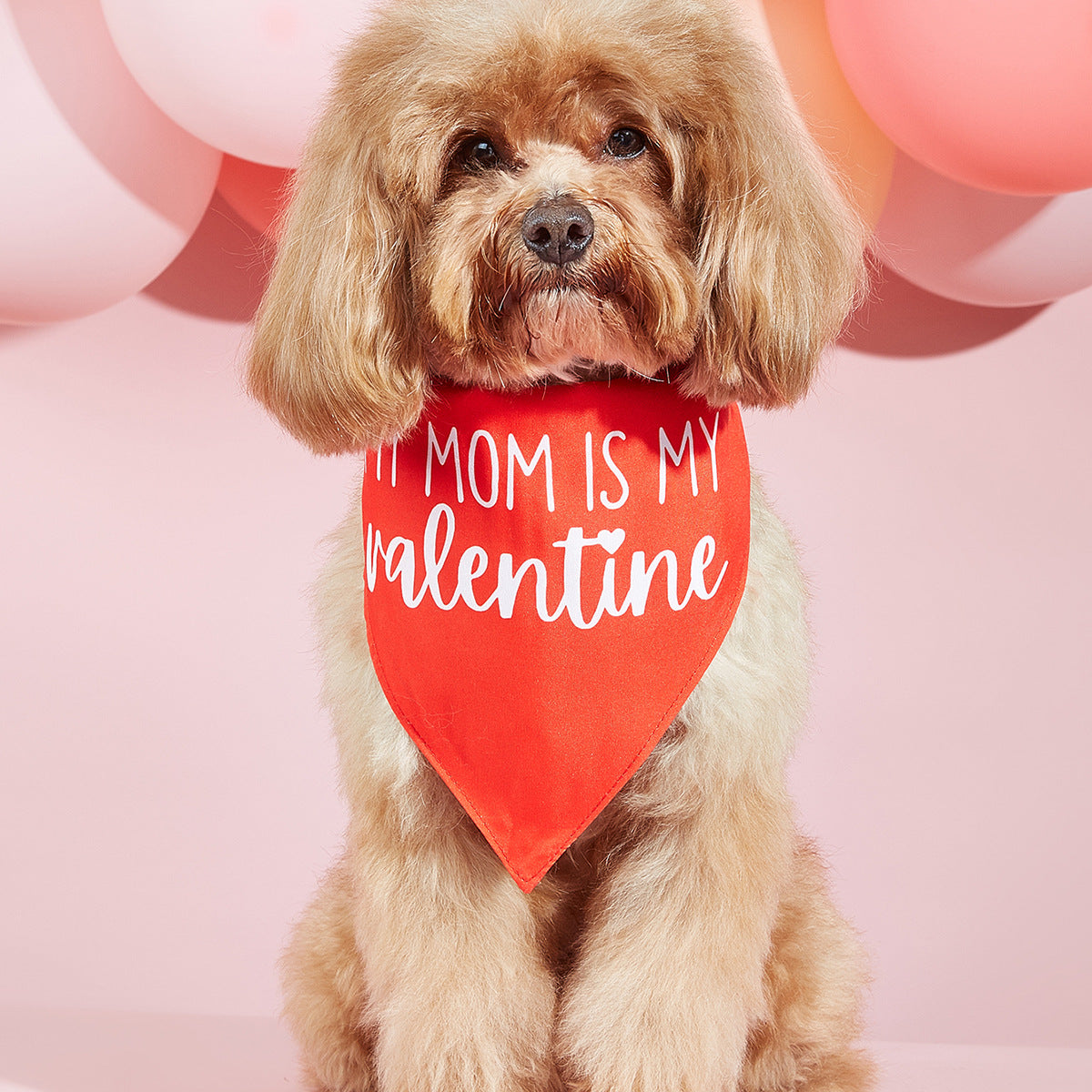 Trendy Valentines Day Scarves for Cats & Dogs Pets Possessions LLC