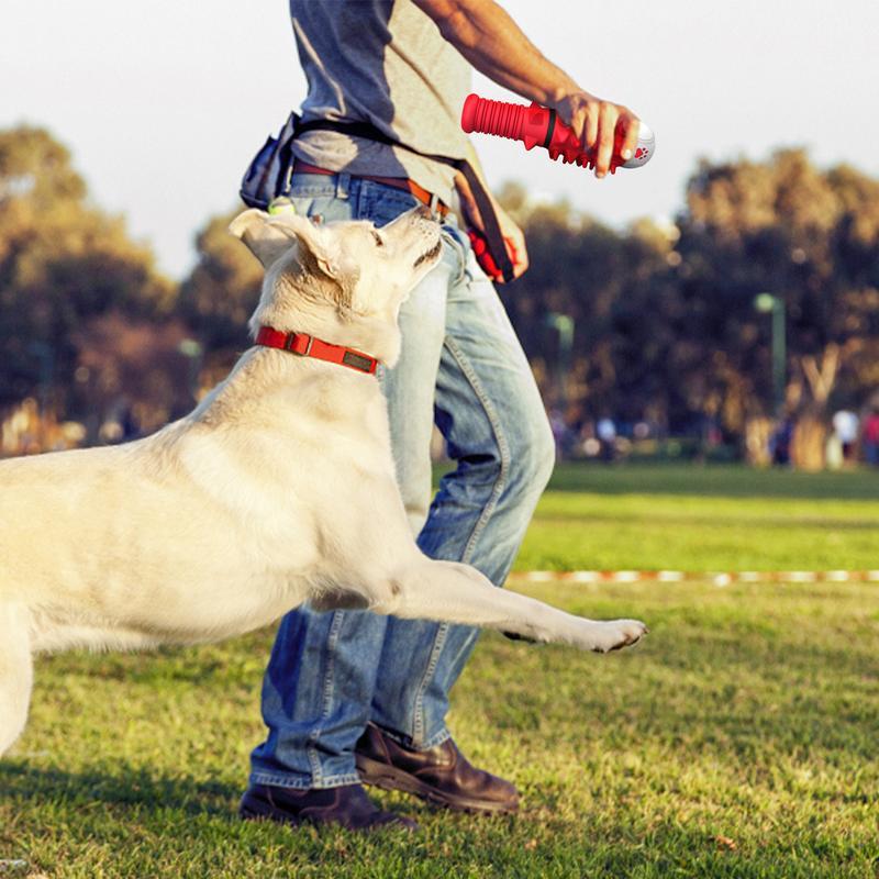 Stimulative IQ Interactive Toys Made of High-Quality Rubber Designed for Dogs Pets Possessions