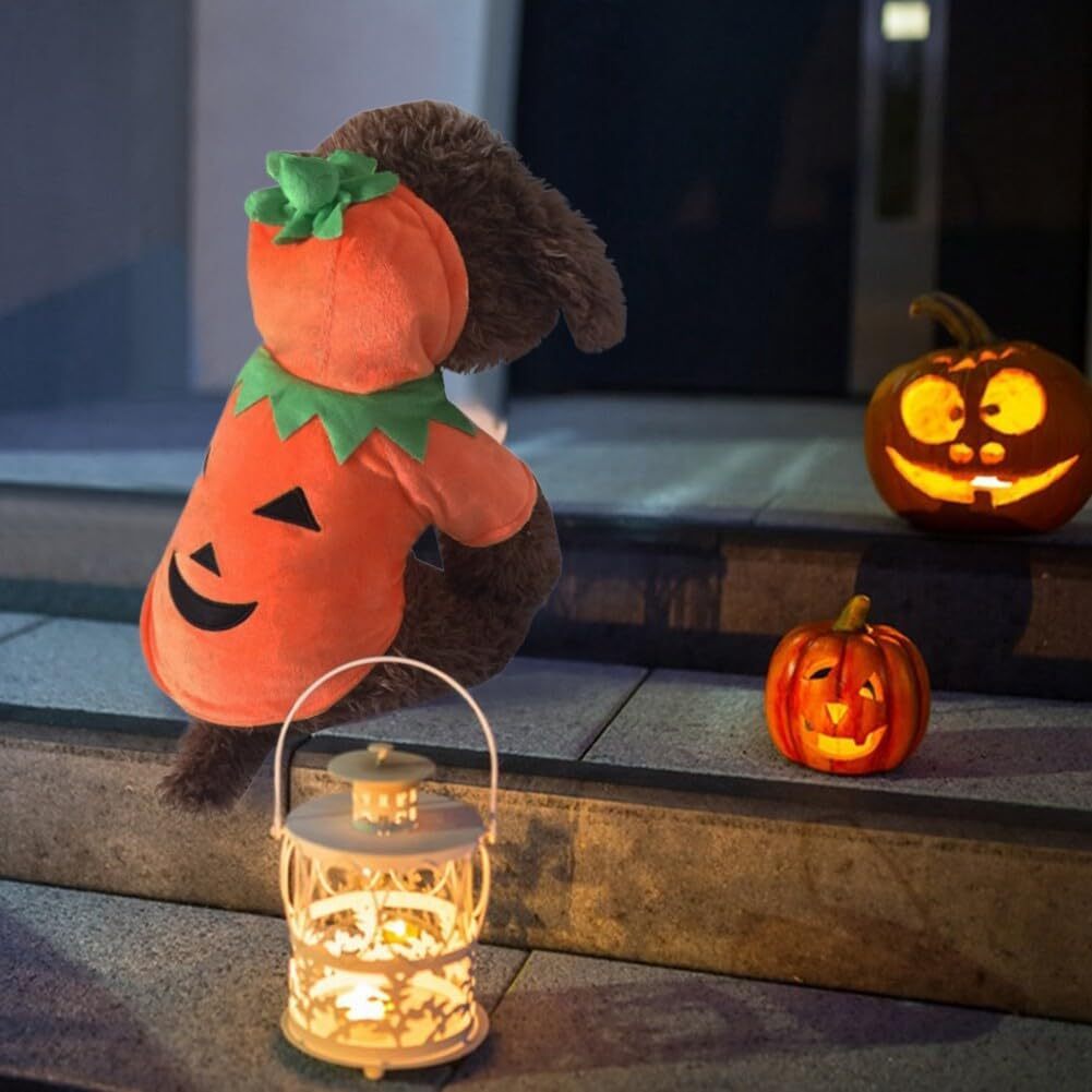 Adorable Halloween Pumpkin Costume for Dogs Pets Possessions