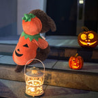 Adorable Halloween Pumpkin Costume for Dogs Pets Possessions