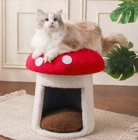 Creative Umbrella Mushroom Cove for Cats & Dogs Pets Possessions