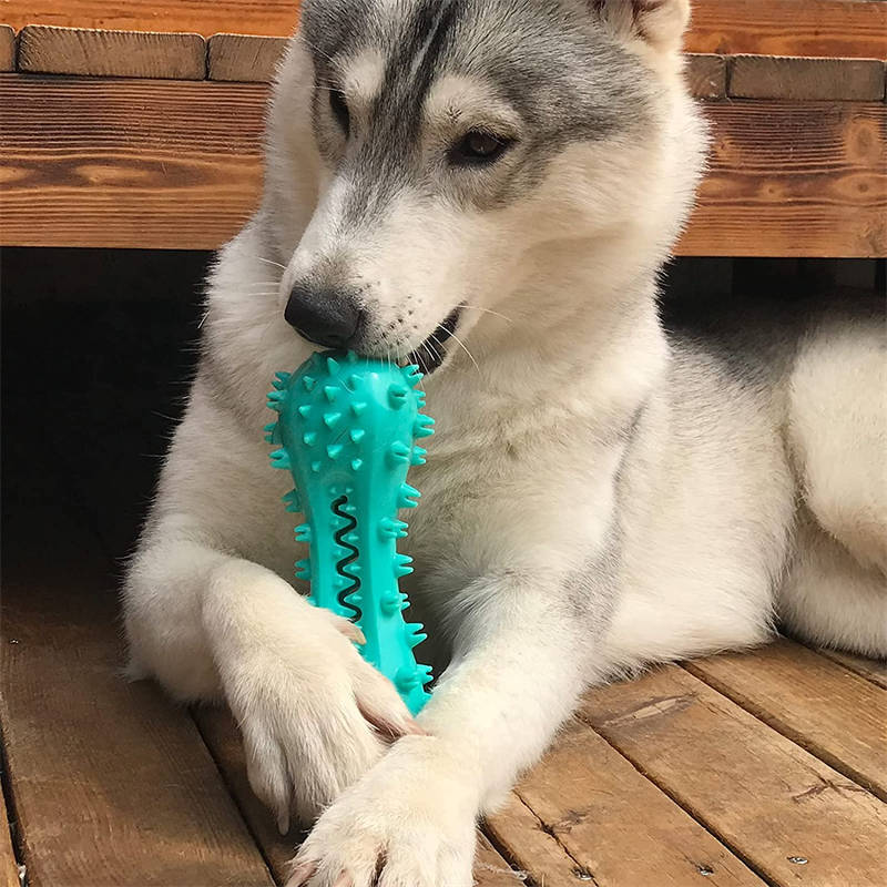 Rubber Molar Stick Oral Cleaning Chew Toy for Dogs (Durable for Aggressive Dogs) Pets Possessions