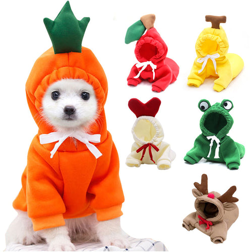 Cute Holiday and Year Round Costumes for Cats & Dogs Pets Possessions