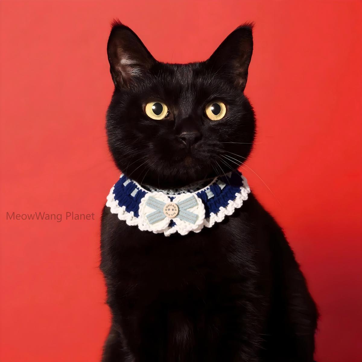 Beautiful Knitted Pet Collar for Cats & Small Dogs Pets Possessions