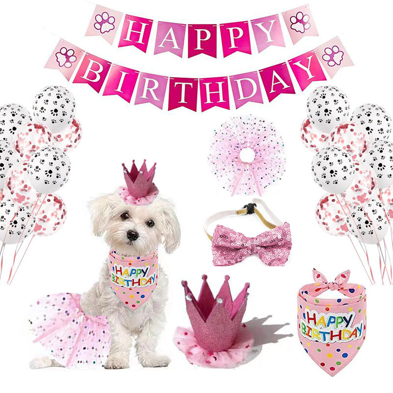 Celebratory Birthday Paw-ty Packs for Cats & Dogs Pets Possessions LLC