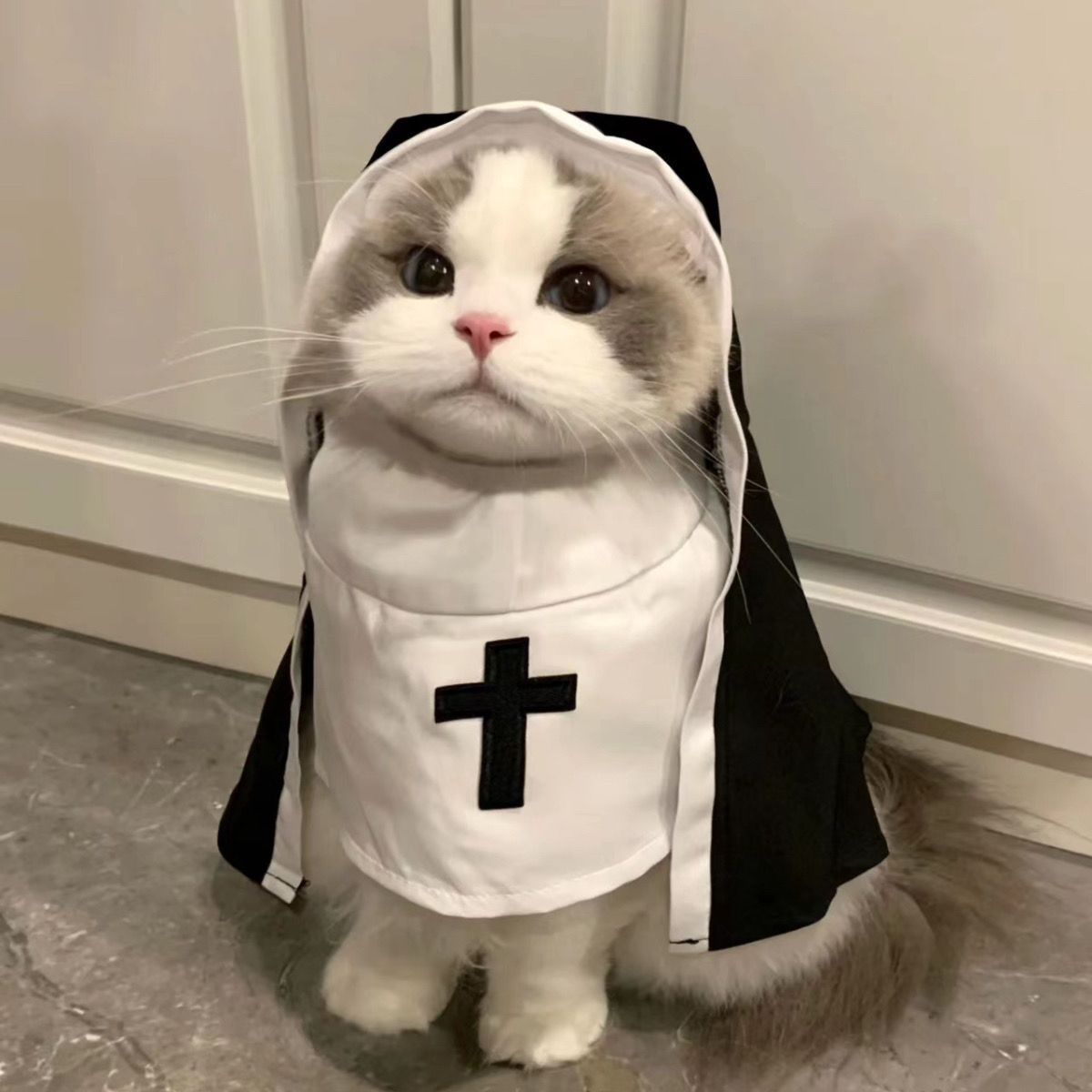 Holy Paws Nun – Black & White Cloak Costume for Cats & Dogs Pets Possessions LLC