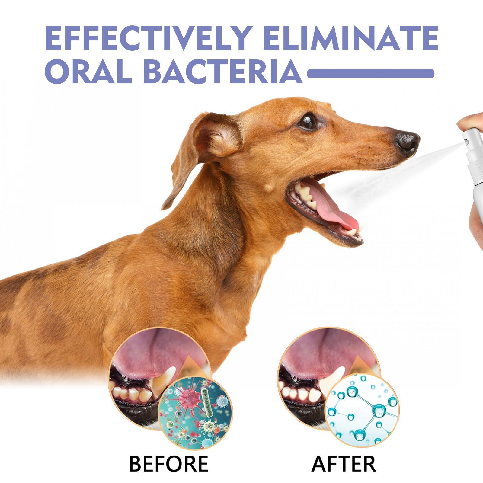 Yegbong Oral Cleaning Breath Deodorizer for Cats & Dogs Pets Possessions