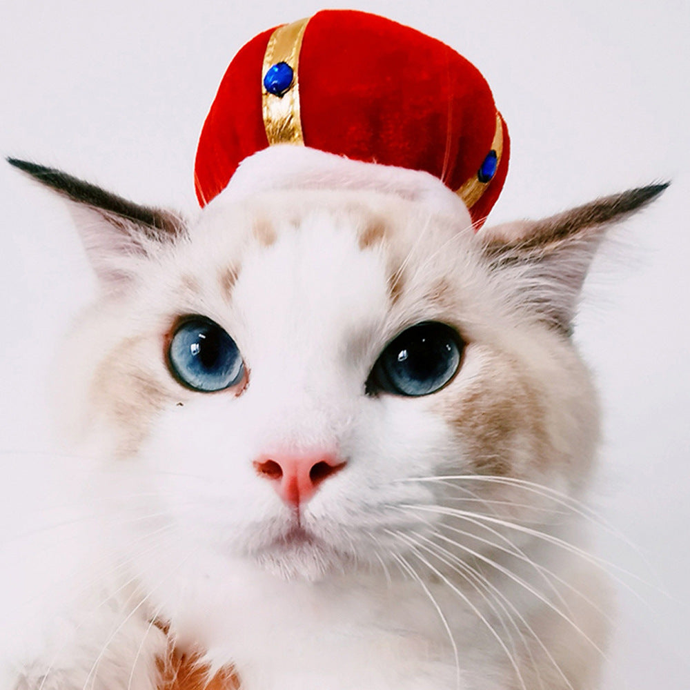 Funny Headpieces for Cats & Small Dogs Pets Possessions LLC