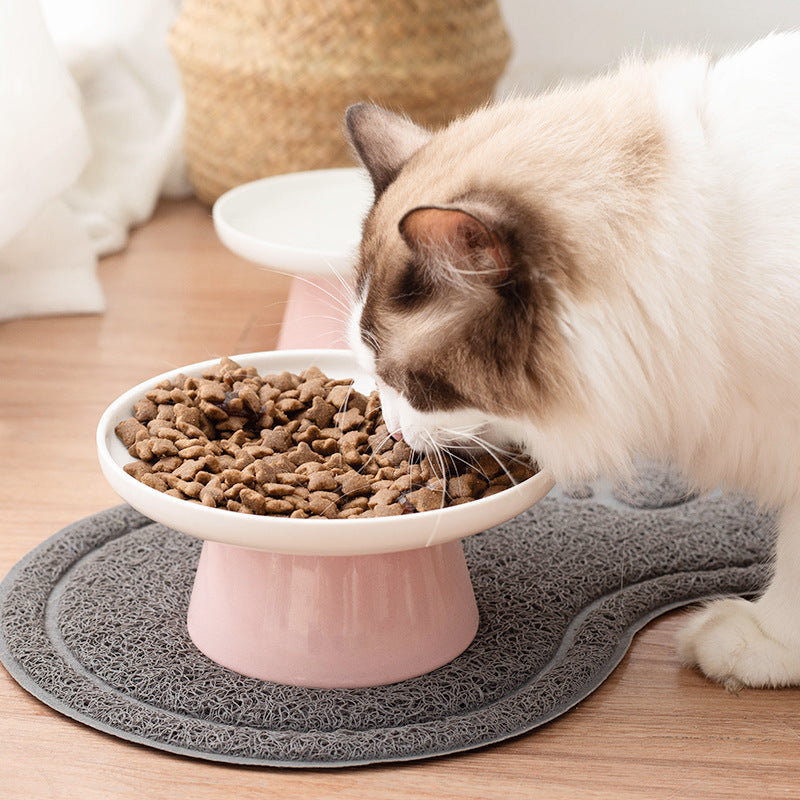 Elevated Vertebrae & Whisker Protective Ceramic Food Bowl for Cats Pets Possessions